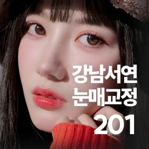 江南瑞延 提眼肌矯正