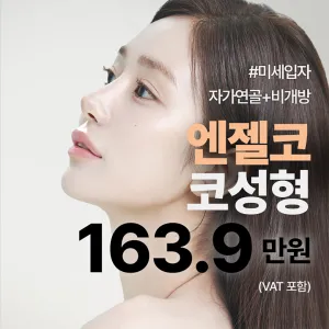 Nana Angel鼻 鼻整形 非切開 自體軟骨 自體組織 無假體