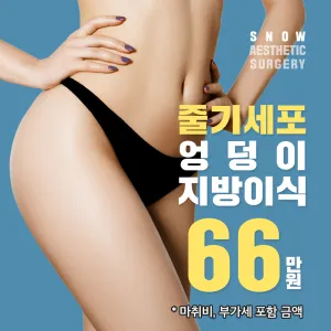 幹細胞 提臀 臀部脂肪移植