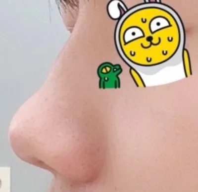 [鼻] 比熊숑숑숄 - 鼻